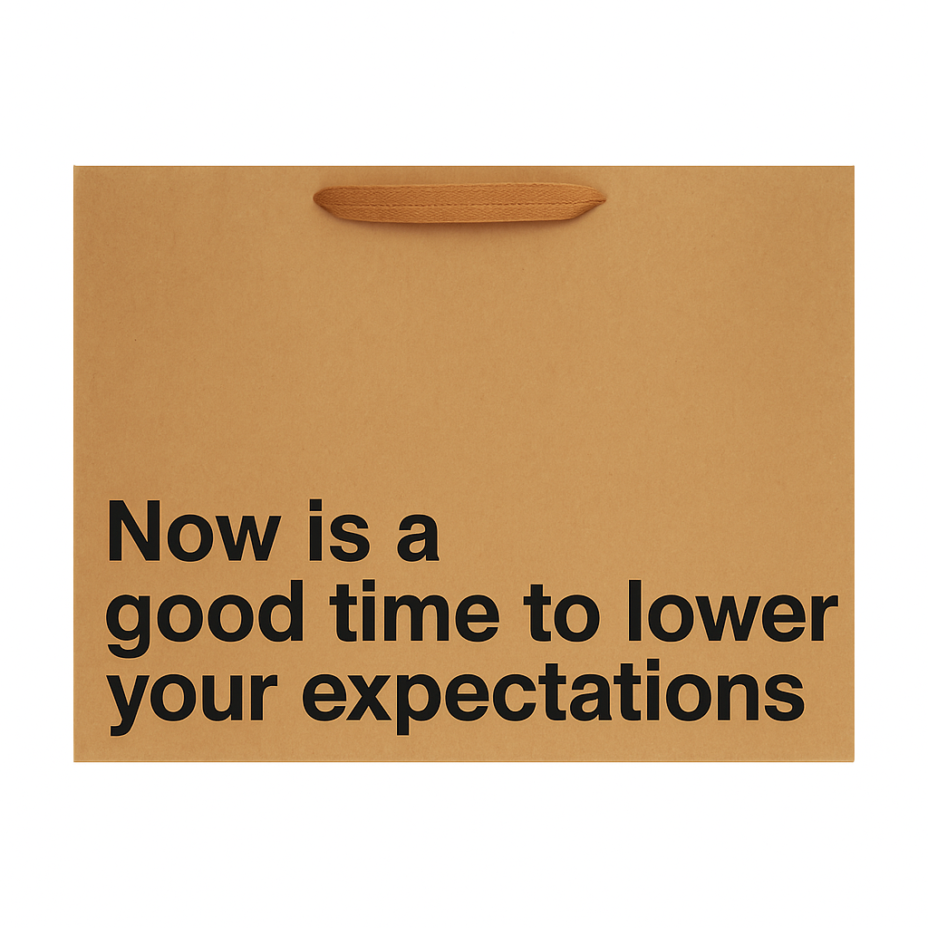 Now Is A Good Time To Lower Expectations Large Gift Bag