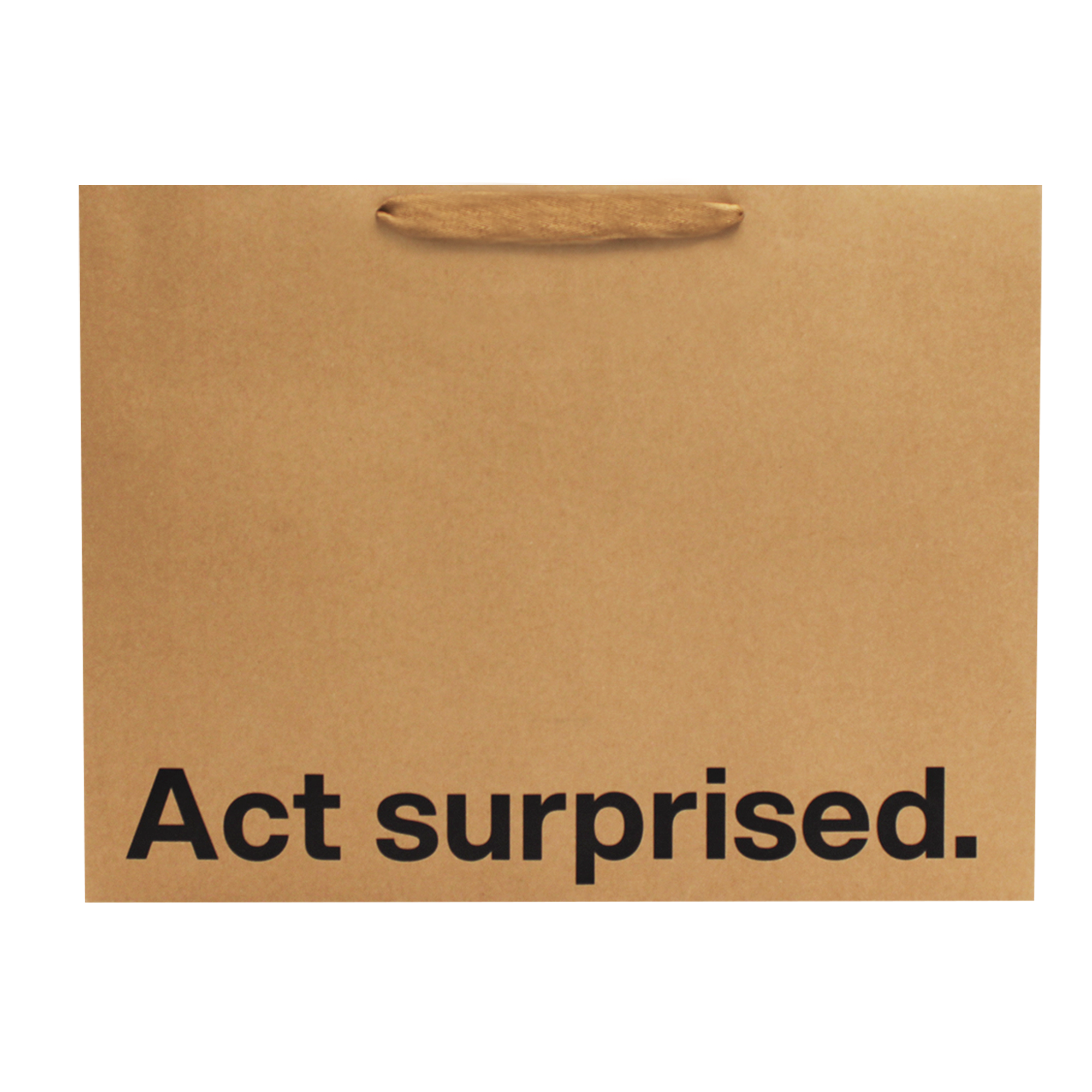 Act Surprised Large Gift Bag