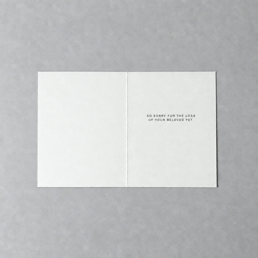 A minimalist white greeting card with black text reading 'SO SORRY FOR THE LOSS OF YOUR BELIEVED PET.' lies flat on a textured gray concrete surface.