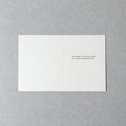 A minimalist white greeting card with black text reading 'SO SORRY FOR THE LOSS OF YOUR BELIEVED PET.' lies flat on a textured gray concrete surface.