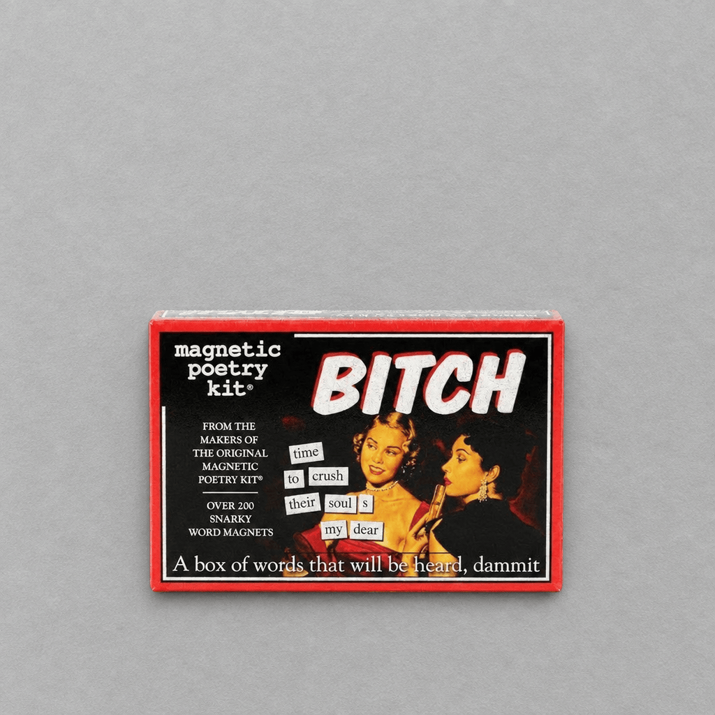 Bitch Magnetic Poetry Kit photo 1 on the lighter grey backdrop