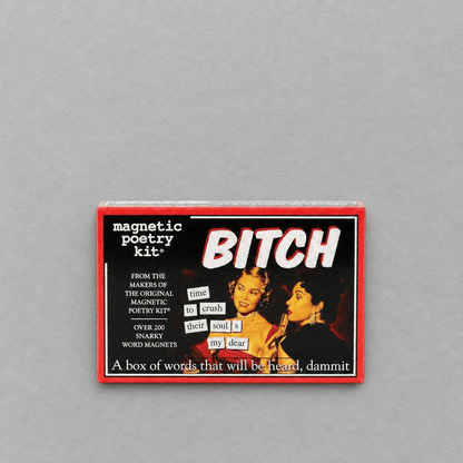 Bitch Magnetic Poetry Kit photo 1 on the lighter grey backdrop