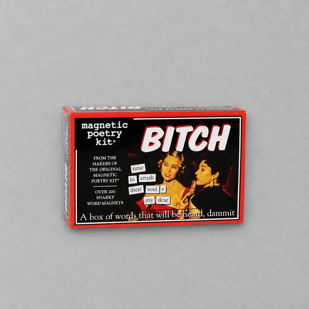 Bitch Magnetic Poetry Kit photo 2 on the lighter grey backdrop