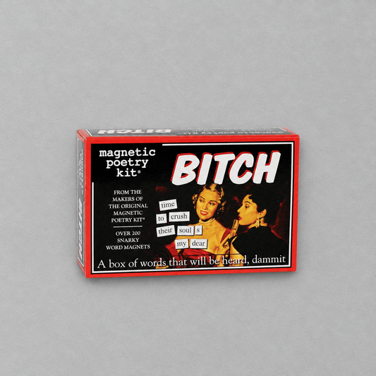 Bitch Magnetic Poetry Kit photo 2 on the lighter grey backdrop