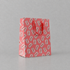Diet Soda Can Gift Bag photo 3 on the lighter grey backdrop