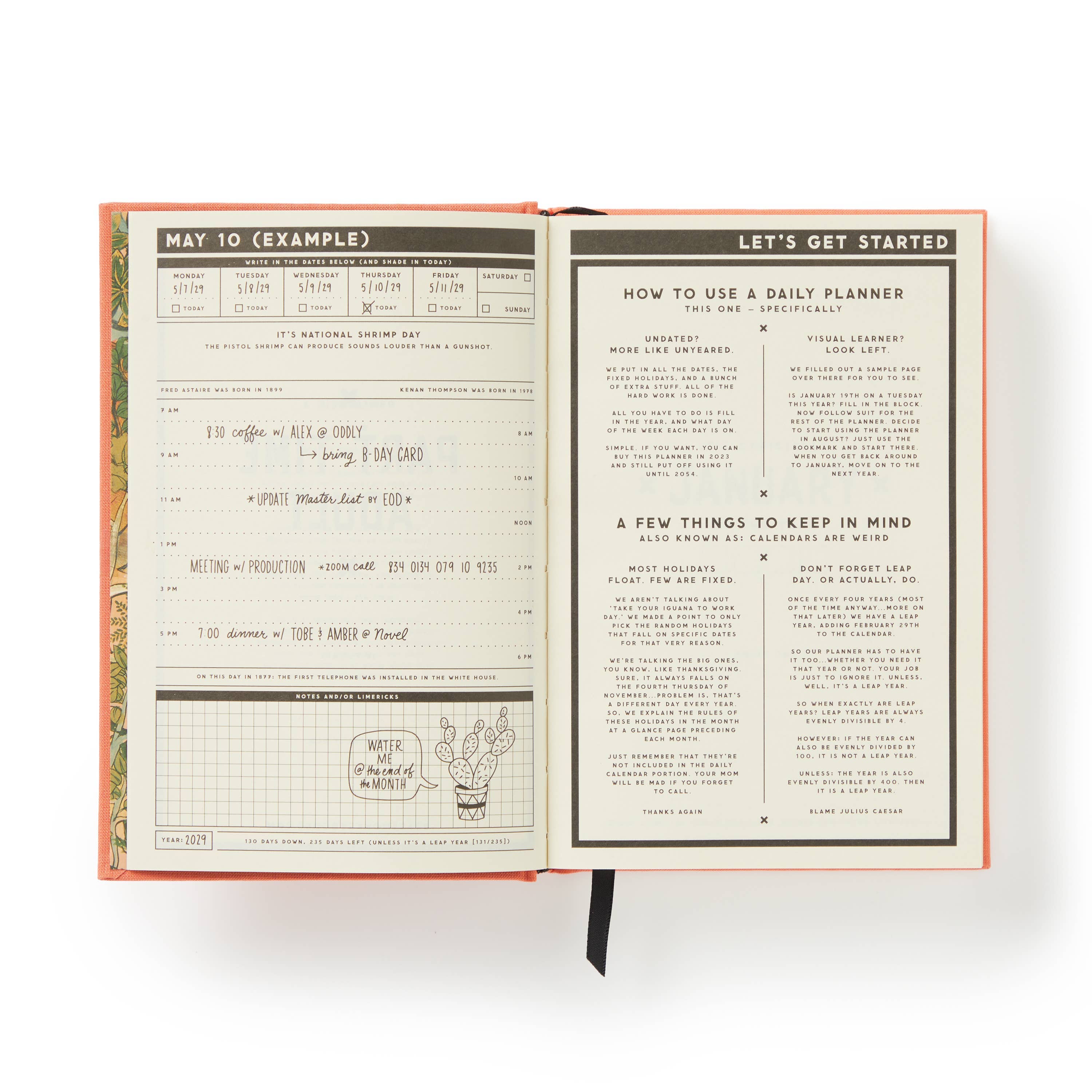 Brass Monkey Part-Time Adult Undated Daily Planner
