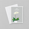 Impish Greetings sympathy card featuring a white orchid illustration on a grey background with white envelope