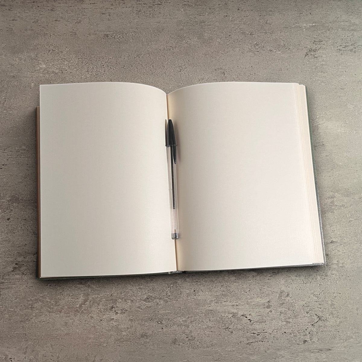 Impish Greetings Paperblanks Olive Fairy journal open to blank unlined pages with a black pen on a grey stone surface