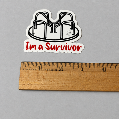 Impish Greetings I’m a Survivor vinyl sticker featuring a 1970s playground merry-go-round illustration