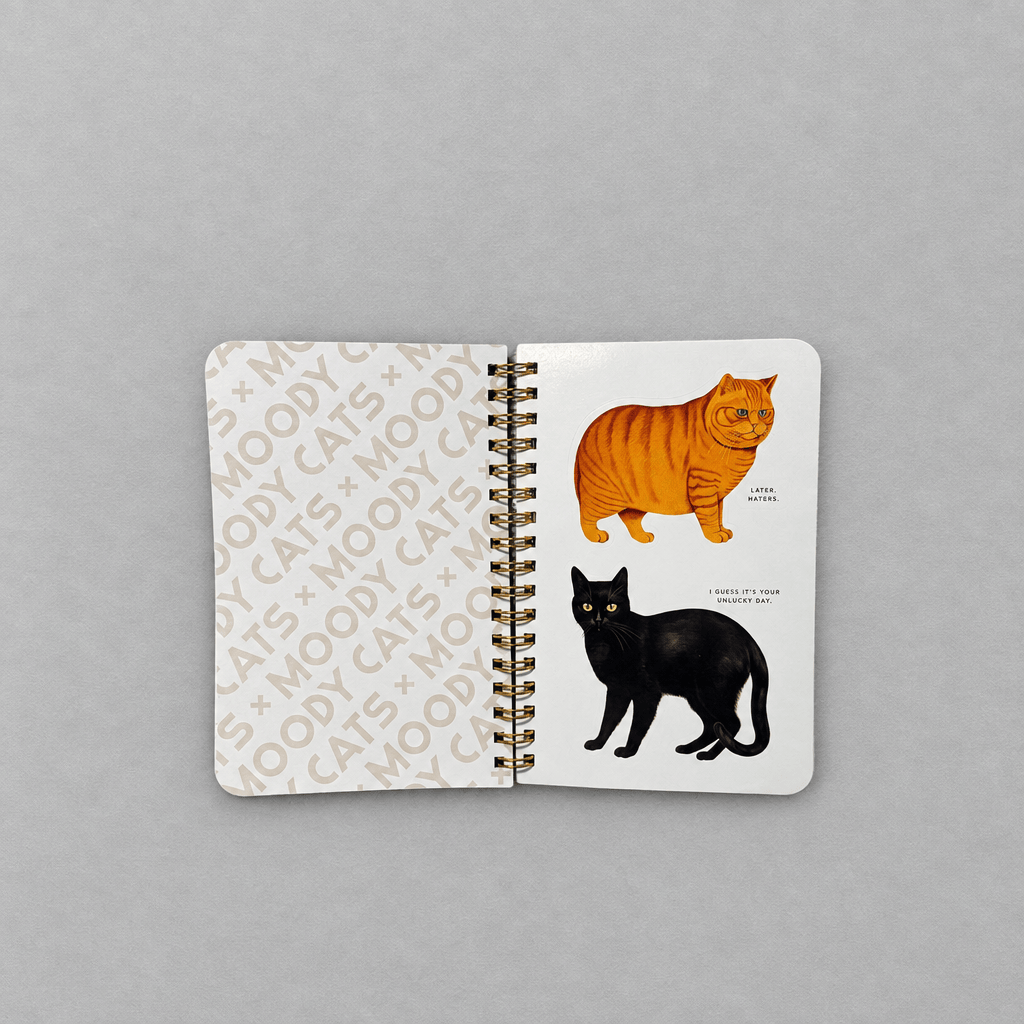 Moody Cats Sticker Book photo 3 on the lighter grey backdrop