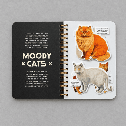 Moody Cats Sticker Book photo 5 on the lighter grey backdrop