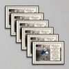 Six Frying Bacon Naked cards in a diagonal waterfall on muted light grey