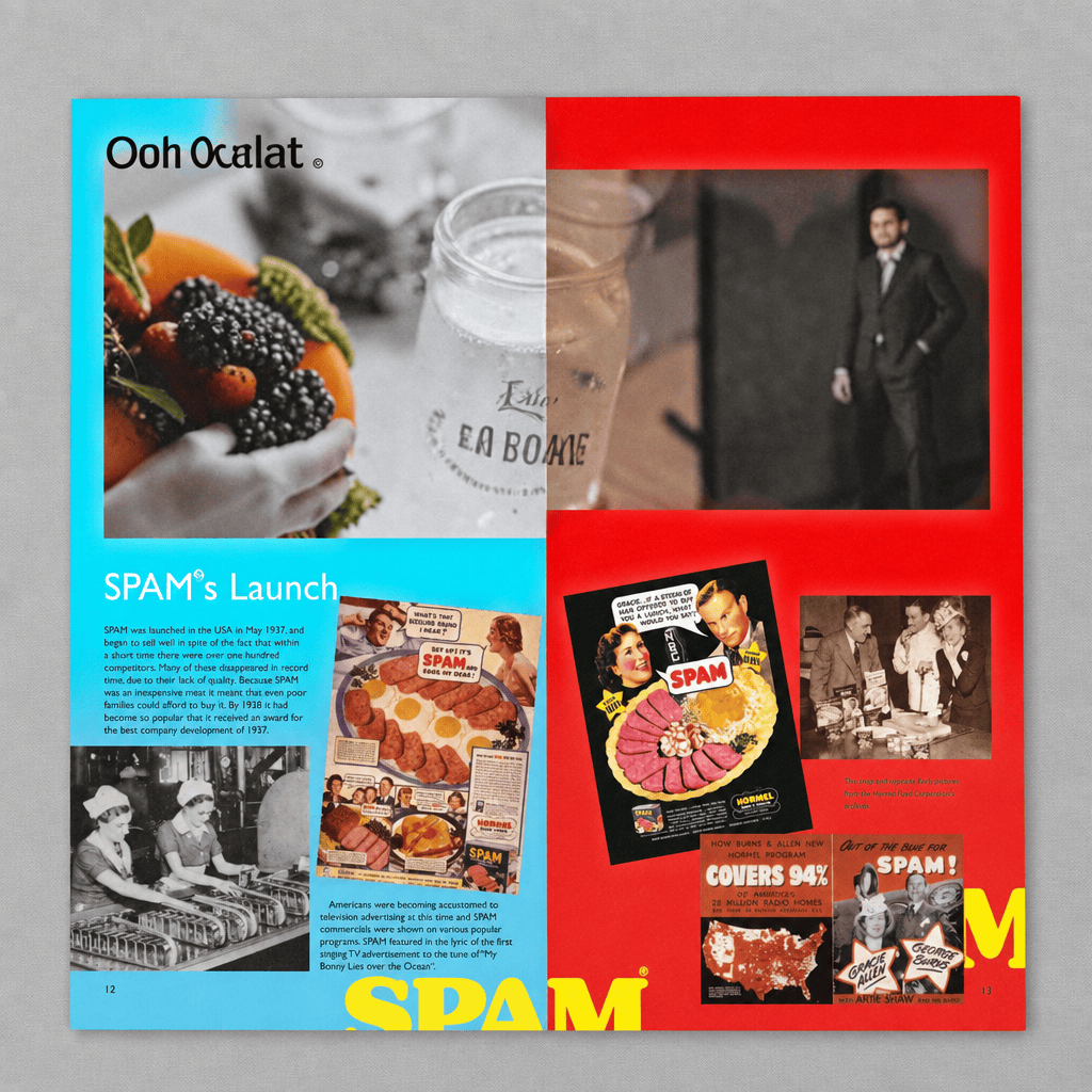 Spam Hardcover Cookbook vintage ads page on the lighter grey backdrop