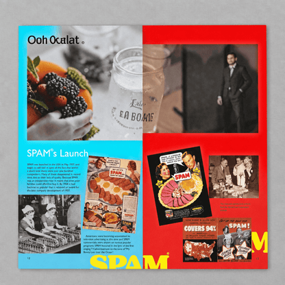 Spam Hardcover Cookbook vintage ads page on the lighter grey backdrop
